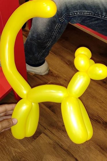 Balloon Modelling — Meaura Events activity