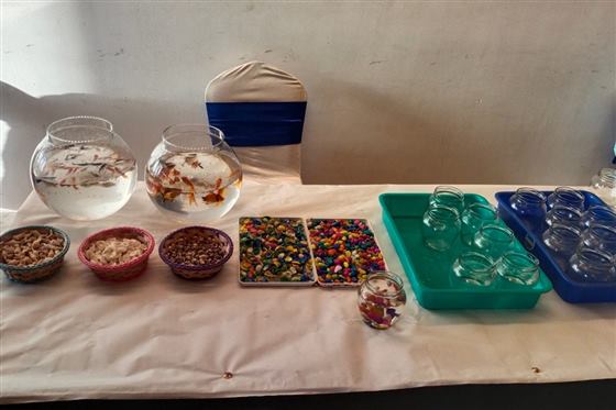 Fish Aquarium — Meaura Events activity
