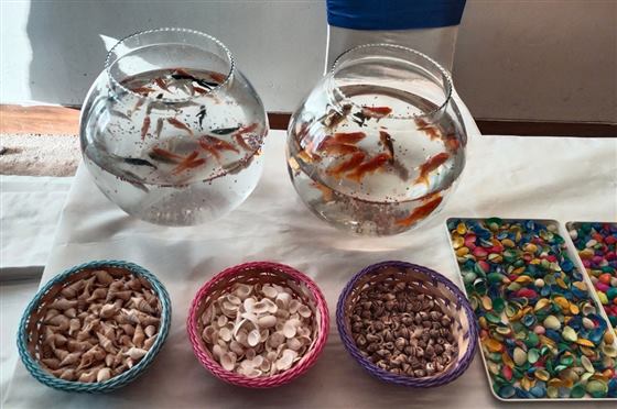 Fish Aquarium — Meaura Events activity