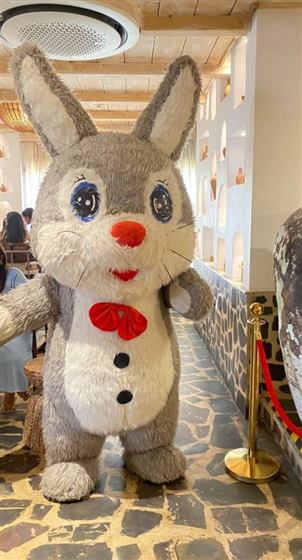 Mario & Rabbit — Meaura Events activity