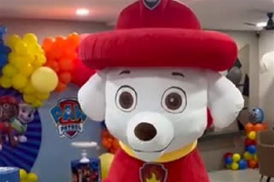 PAW Patrol — Meaura Events activity