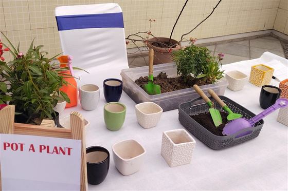 Pot-a-Plant — Meaura Events activity